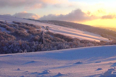 Paysage de La Bresse en hiver